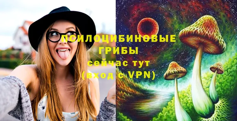 Галлюциногенные грибы MAGIC MUSHROOMS  Арамиль 